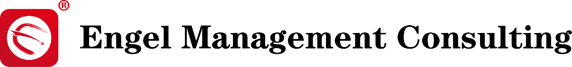 GZ Engel Management Consulting