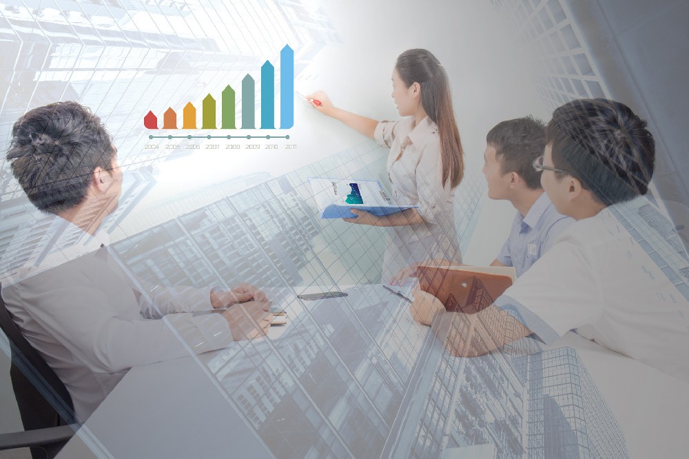 A technology innovation company Six Sigma manages consulting program